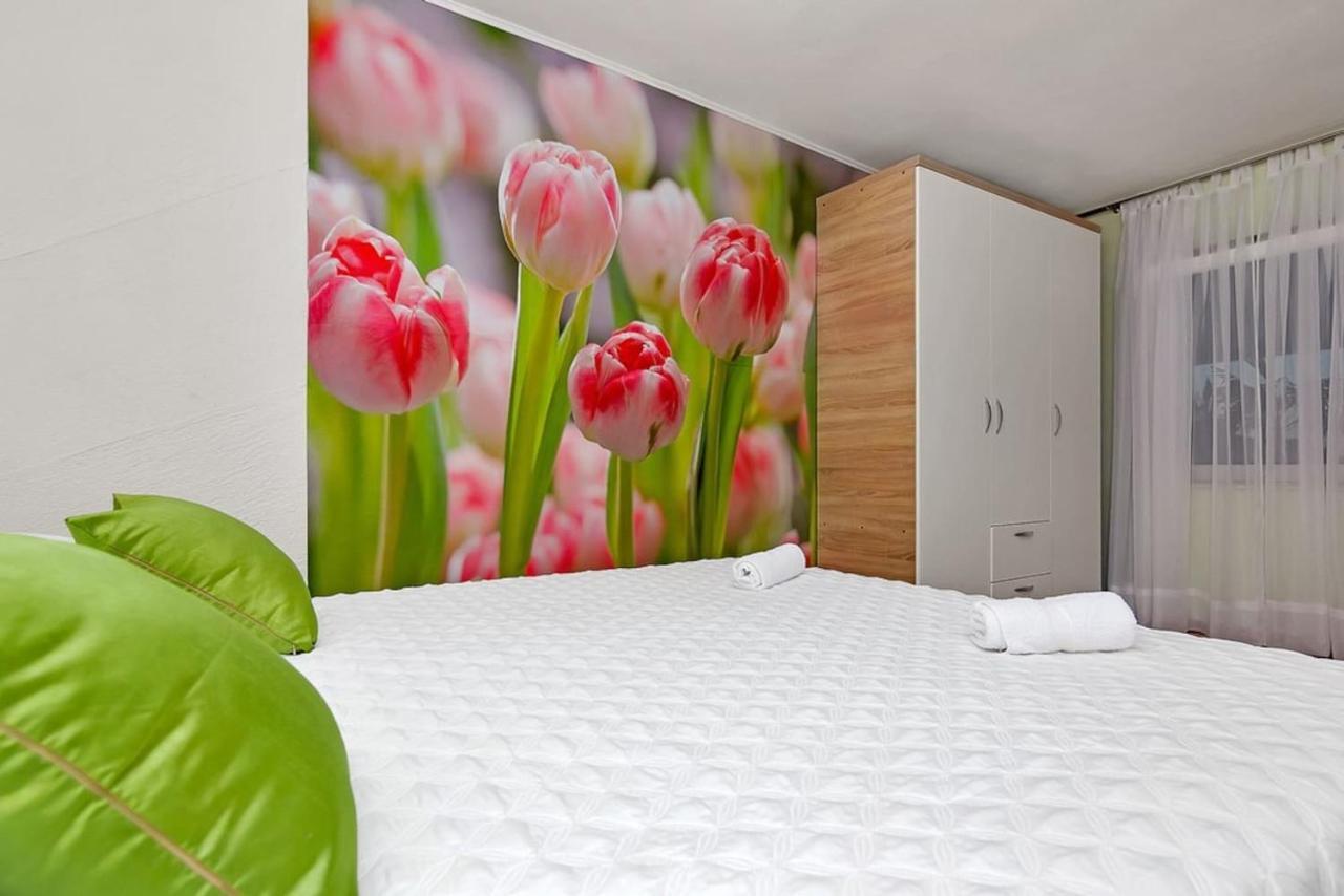 Holiday Home Colla Tučepi Εξωτερικό φωτογραφία